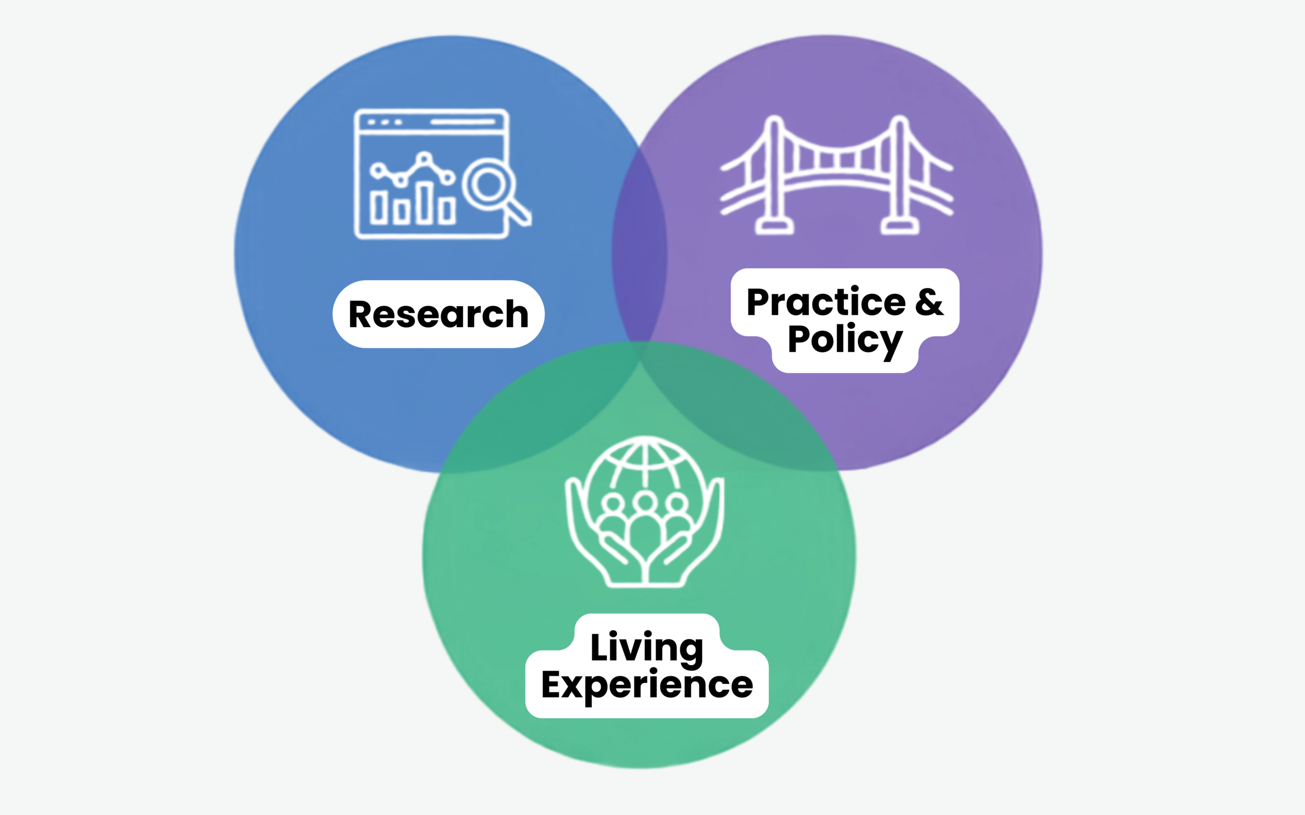 Three intersecting conference perspectives: Research, Practice and Policy, and Living Experience